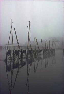 Fishnets, Shannon River, Athlone